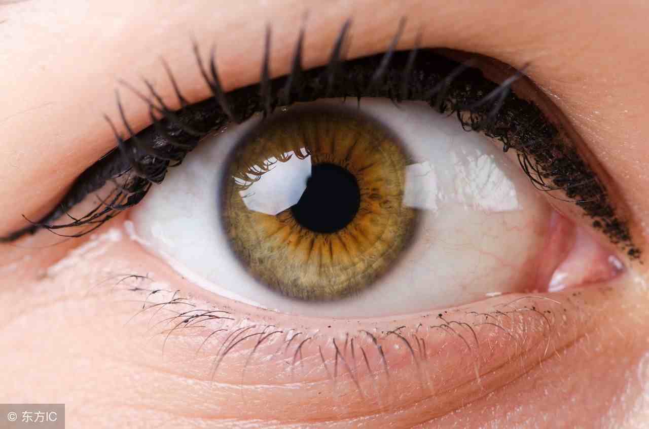 瞳孔和身体的各个部位都有着广泛的联系,它的放大和缩小也是因为受到