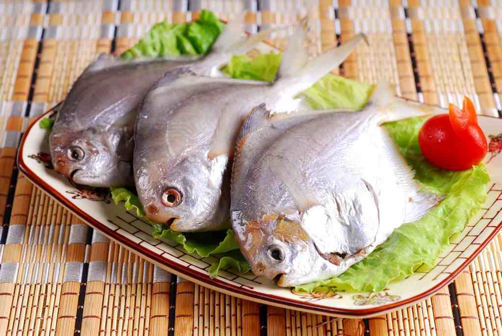 海鱼有哪些(中国有什么好吃的海鱼?