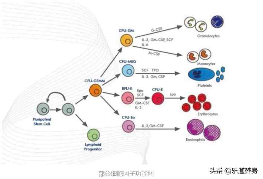 抑制是什么意思(什么是炎症风暴,如何抑制)