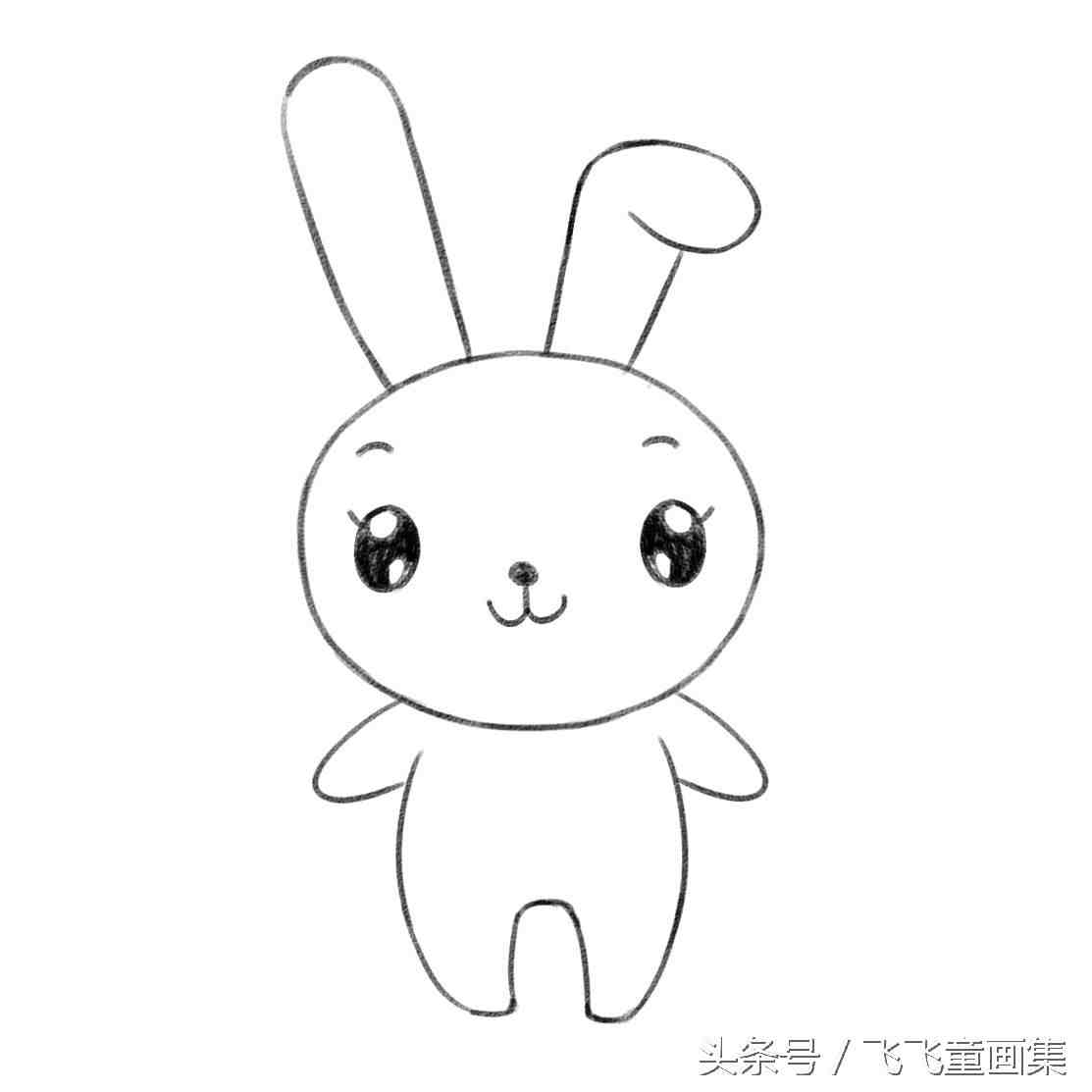 兔子简笔画手绘卡通可爱的小白兔
