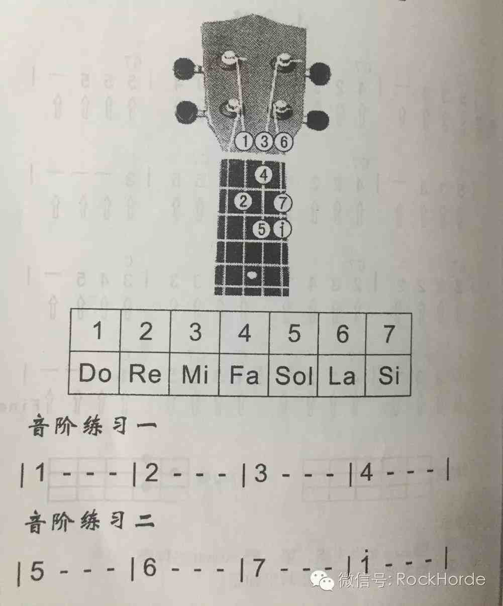 ukulele教程尤克里里初级教程