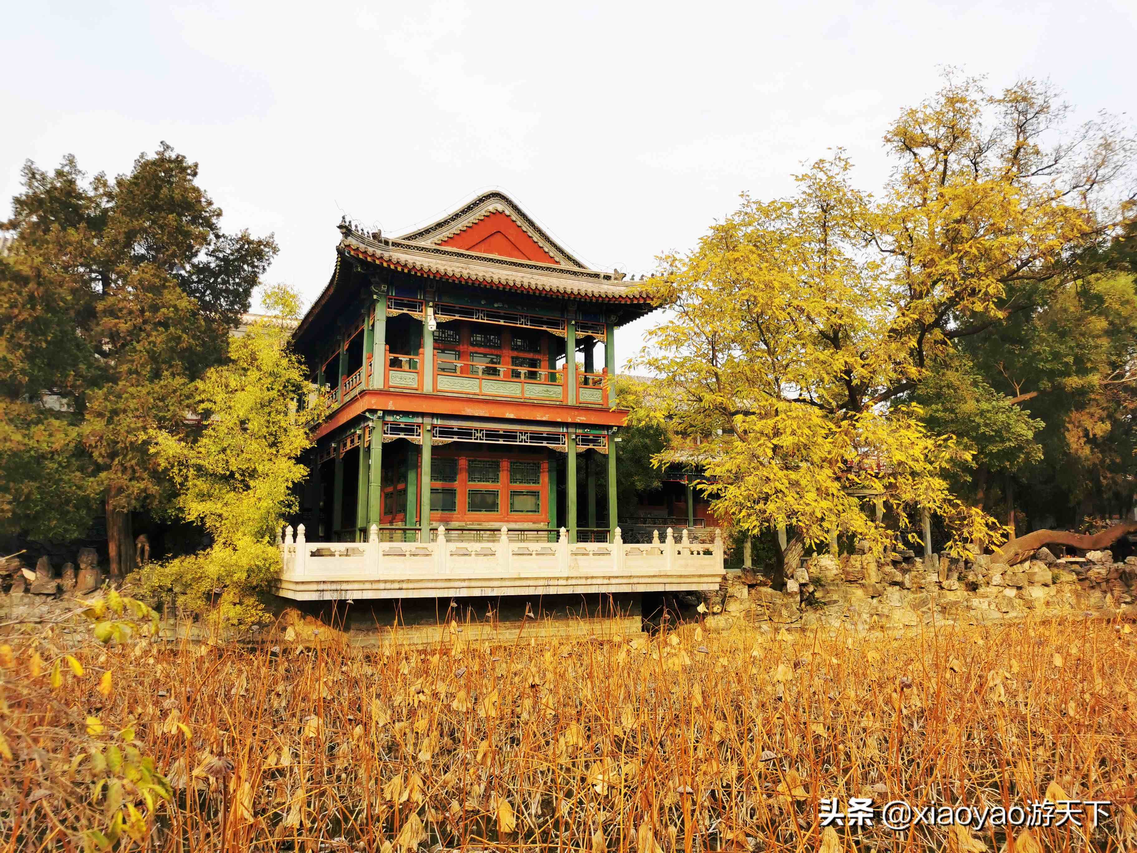 古莲花池古莲花池景点介绍