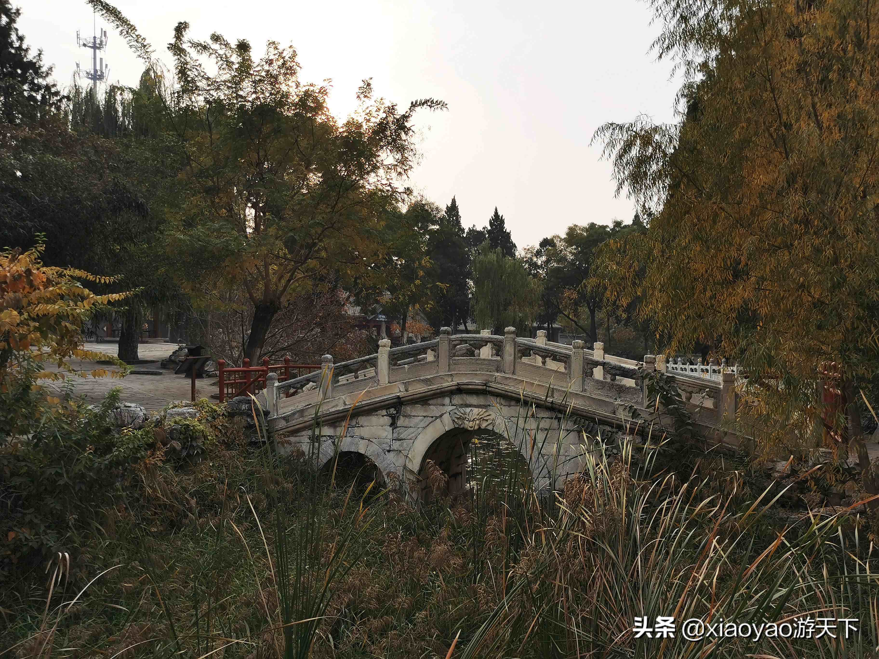 古莲花池(古莲花池景点介绍)