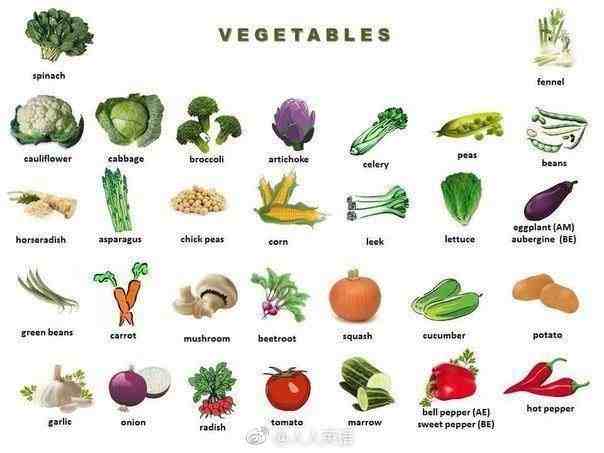 蔬菜英语100种蔬菜英语单词