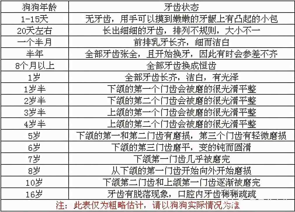 通过牙齿判断狗狗年龄