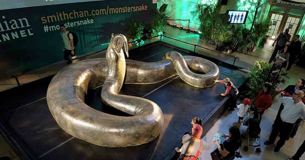 世界上最长的蛇有记录以来世界上现存最大的蛇是什么