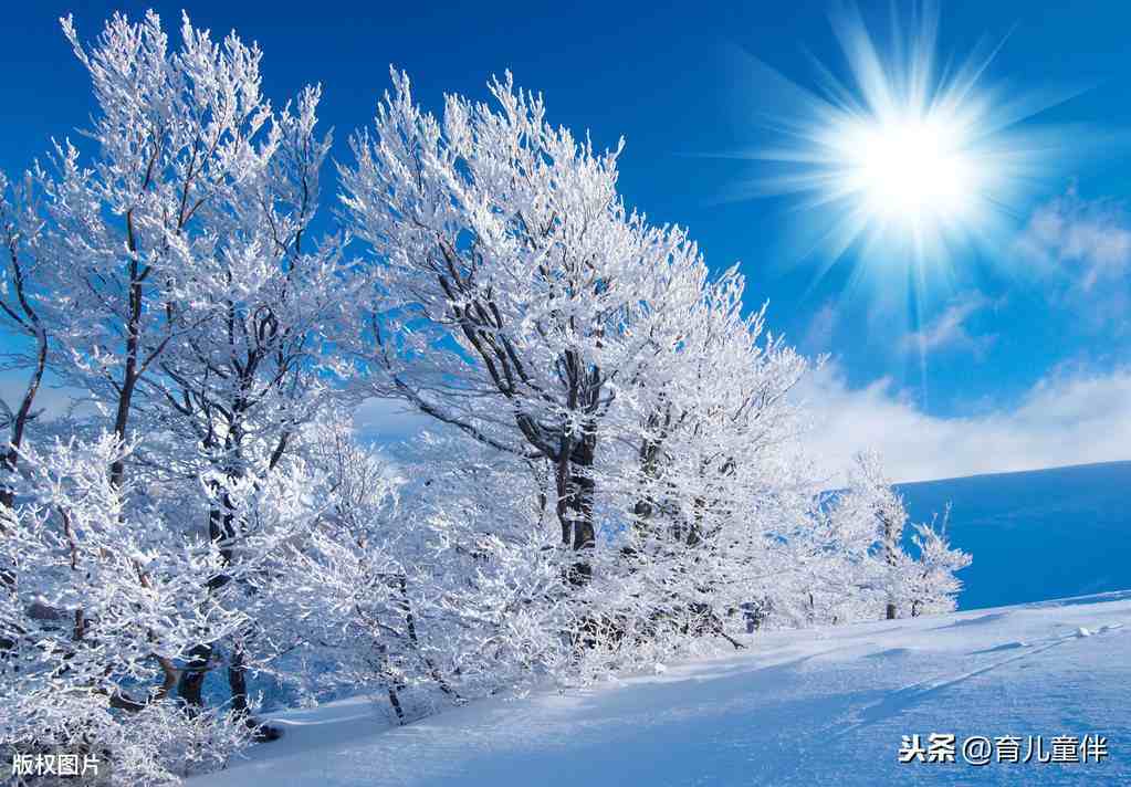 关冬天的成语) 冰天雪地 [bng tin xu d] 形容冰雪漫天盖地,非常寒冷