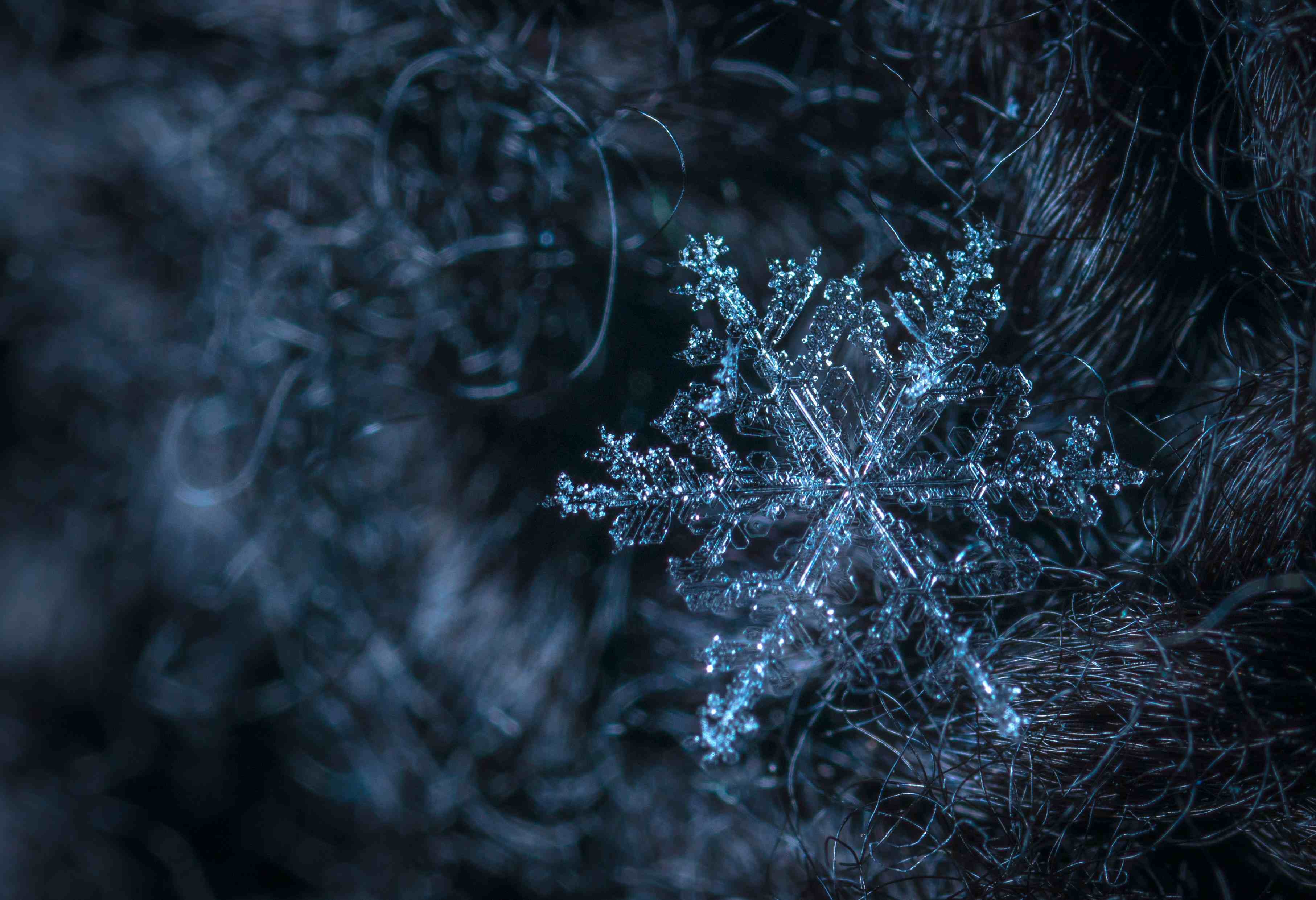 雪的形成你知道雪花是怎么形成的吗