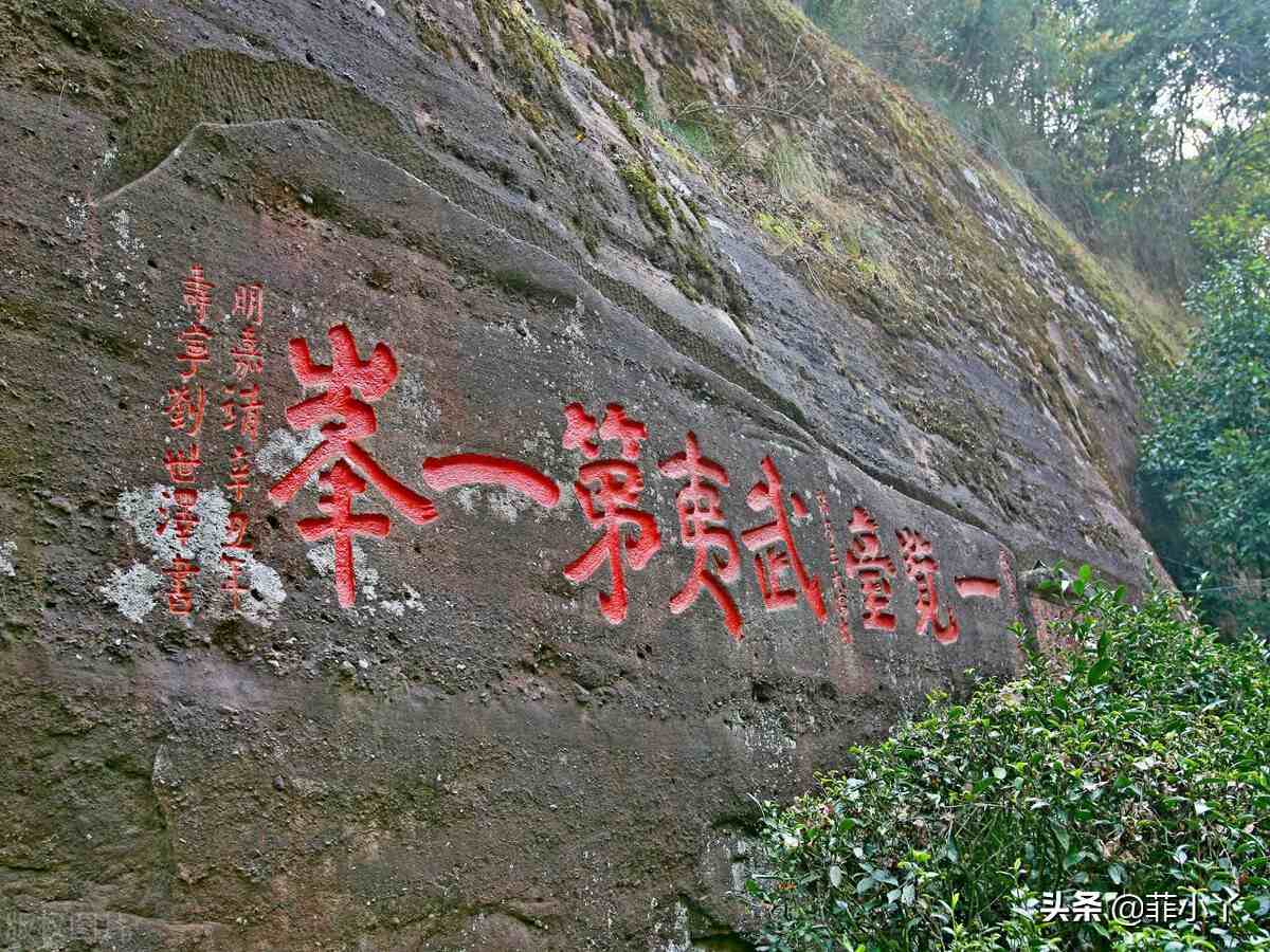 南平武夷山(武夷山到底属于福建还是江西?