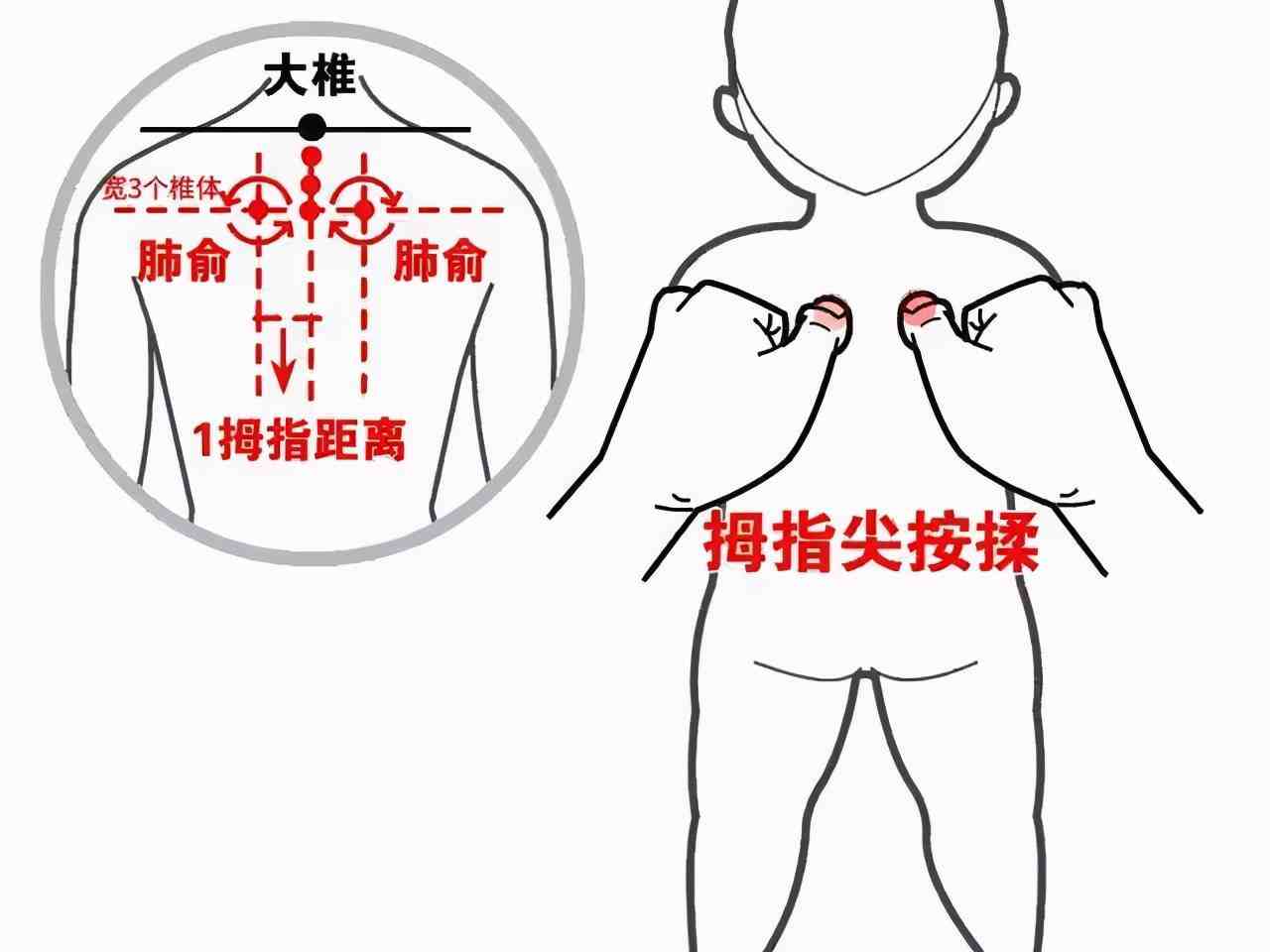 肺俞的准确位置图片肺俞穴肺系疾病的治疗要穴