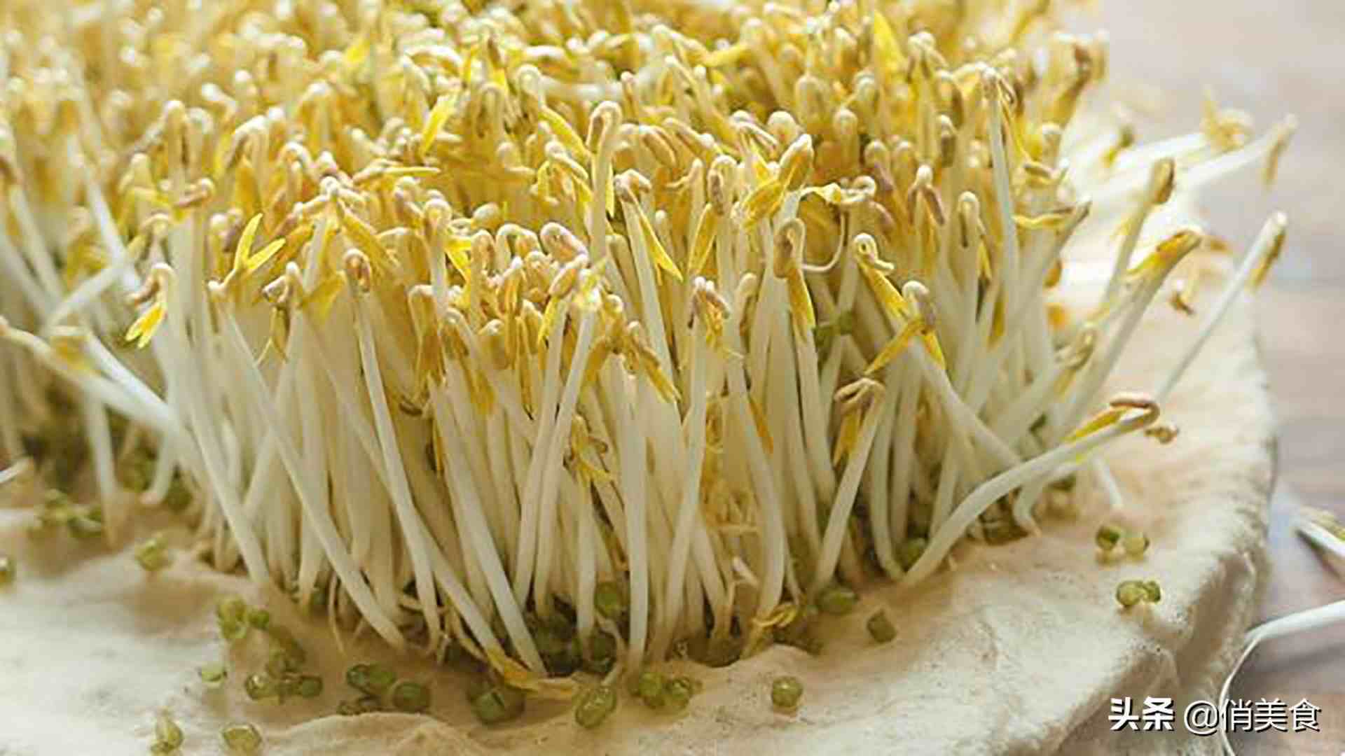 在家自己生绿豆芽怎么生家庭自制绿豆芽教你5个小秘诀