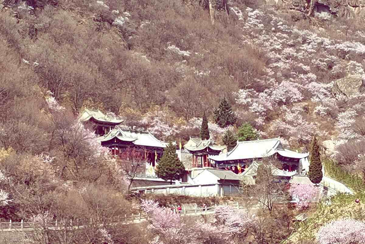 大林寺桃花白居易大林寺桃花的全诗意思