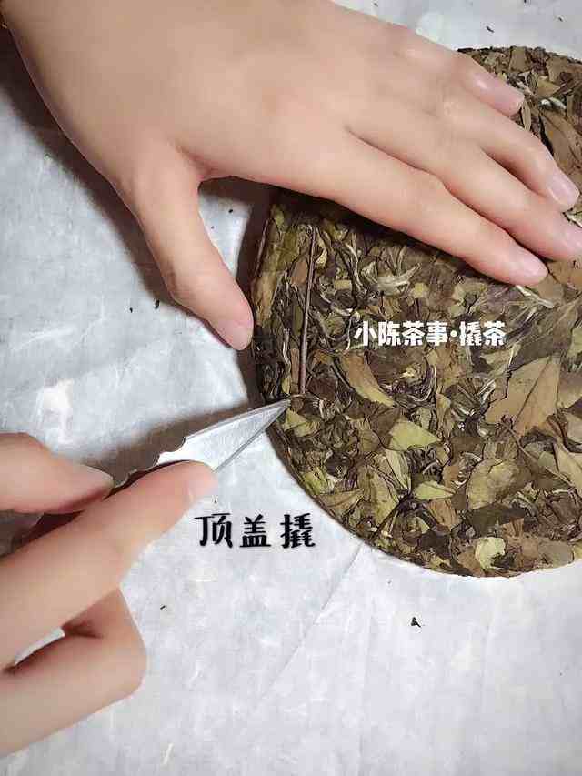 茶饼怎么弄开普洱茶饼可以存放多久