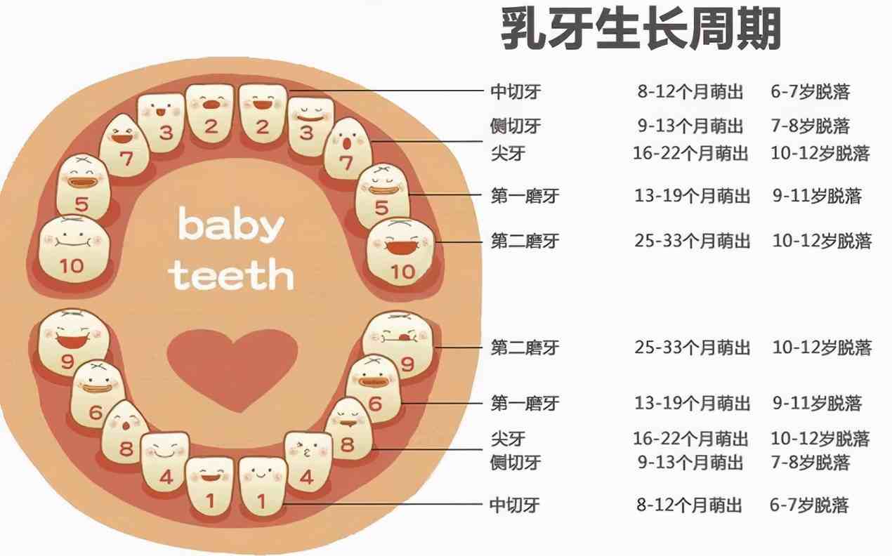 婴儿多久长牙婴儿正常几个月长牙