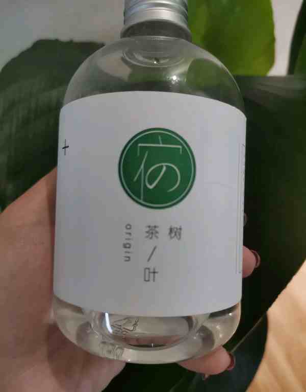 宿系之源茶树纯露