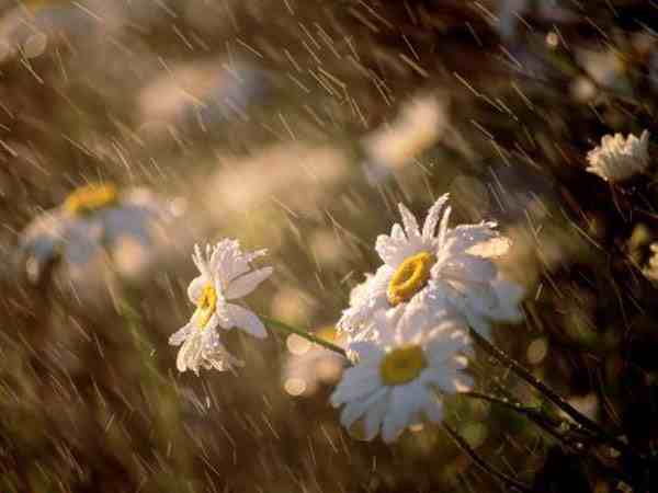 梅雨季节是什么时间 梅雨季节是几月份 一般梅雨季节是几月份 百思特网