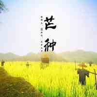 2020芒种能领结婚证吗