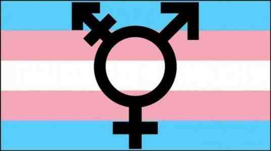 16岁跨性别女孩遭遇性别扭转治疗  什么是跨性别？