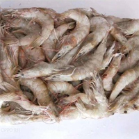 西安进口冻虾外包装检出新冠阳性