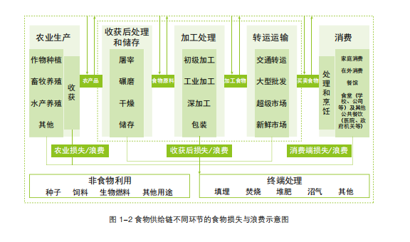 减少食品浪费的方式方法