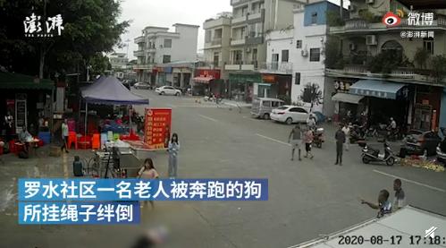 老人被狗绳绊倒摔地后身亡