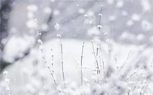 8月下雪是什么意思