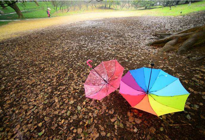 北方又一轮大范围降雨来袭