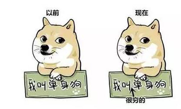 单身怎么过七夕