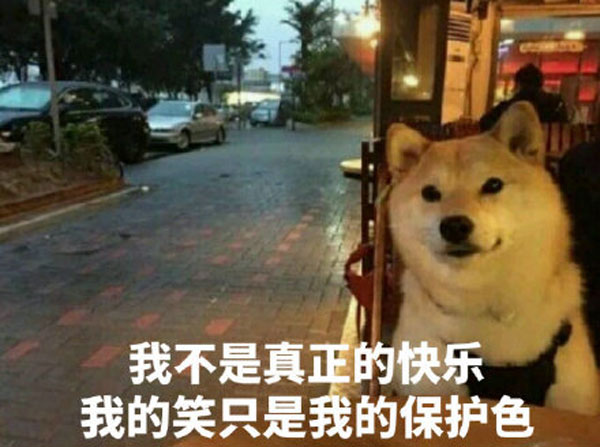 单身怎么过七夕