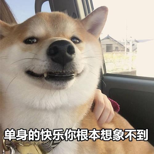 如何看待主动单身