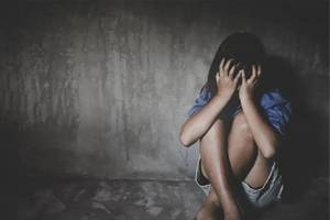 强奸5岁女童嫌犯养母发声