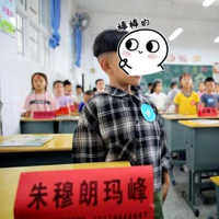妈妈回应小学生取名朱穆朗玛峰