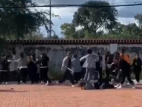 黑龙江30多名女学生街头约架斗殴,涉事学校校长被免职  第2张