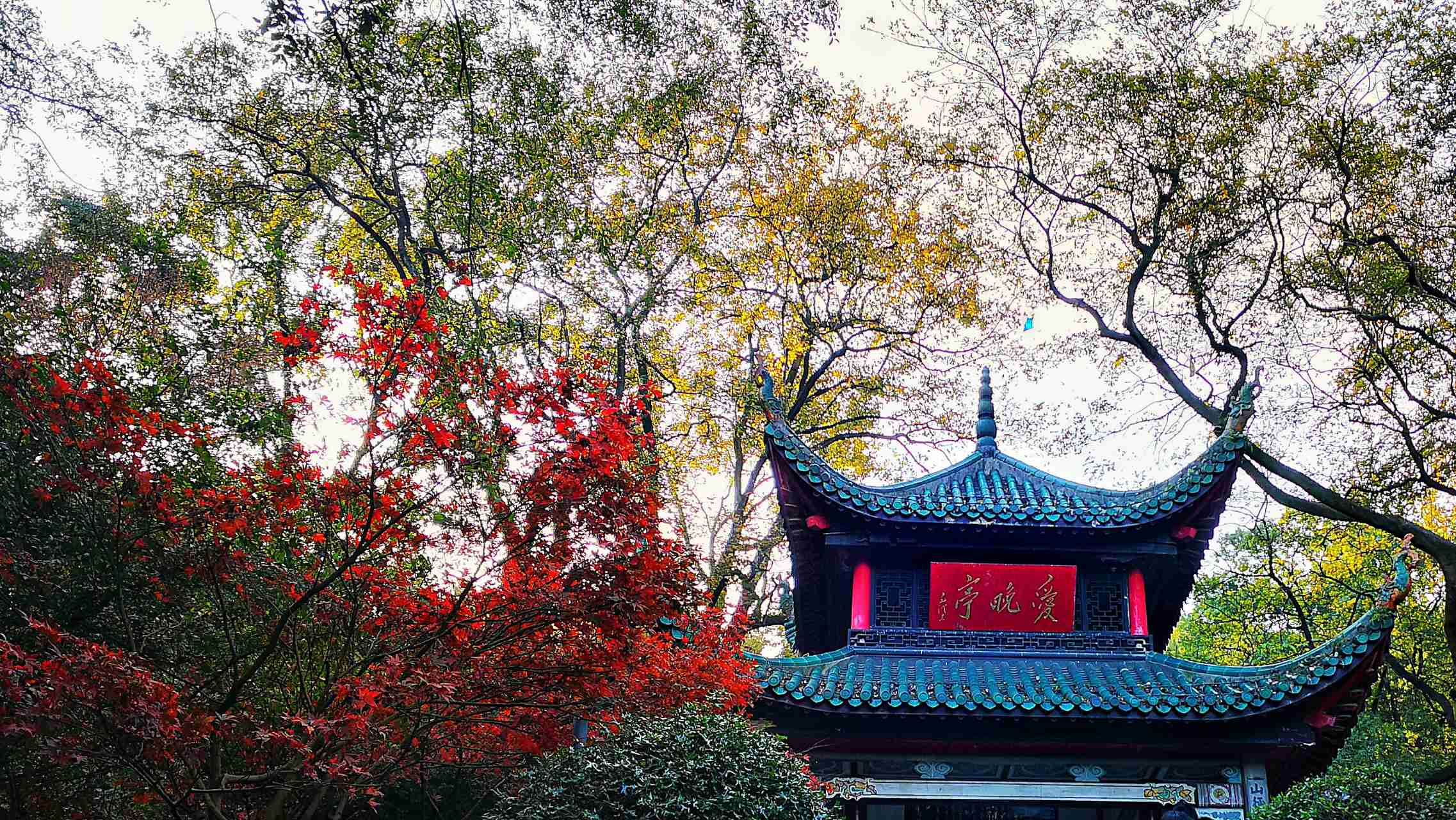 桂林12月份适合旅游吗?应该去哪些景点。 - 知乎
