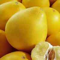 柚子的品种有哪几种 柚子的品种有哪些品种 百思特网