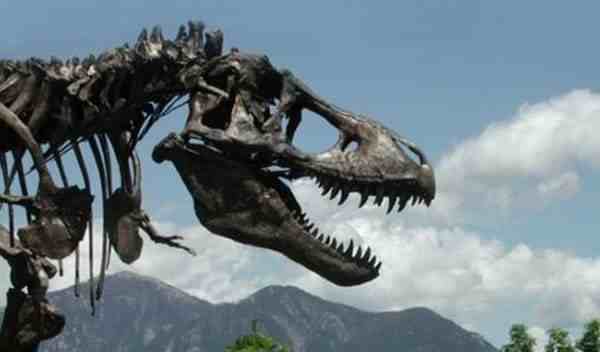 全球最大霸王龙化石拍出天价