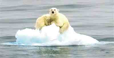北极恐将面临夏季无冰