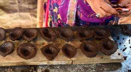 印度推出牛粪芯片,为什么印度人吃牛粪饼