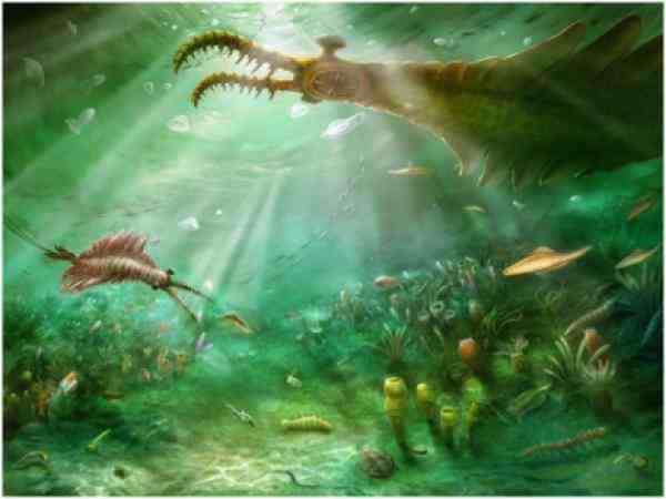学者发现5亿多年前四不像动物