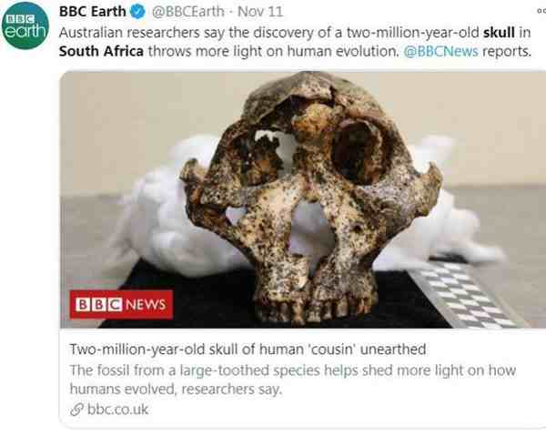 南非发现200万年头骨化石