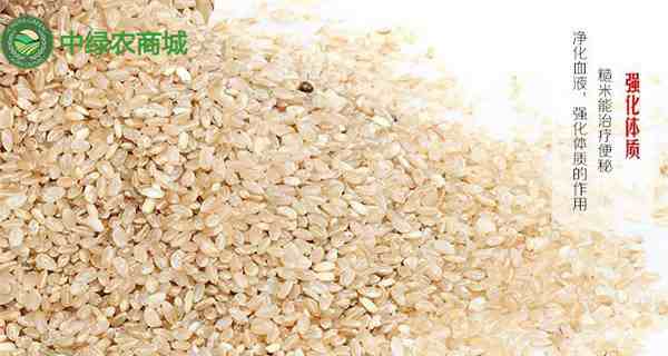 糙米是什么米（糙米可以天天吃吗）,