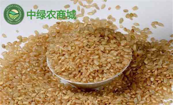 糙米是什么米（糙米可以天天吃吗）