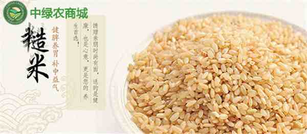 糙米是什么米（糙米可以天天吃吗）