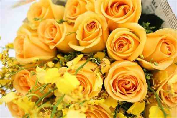 黄玫瑰代表什么意思（黄玫瑰花语是什么