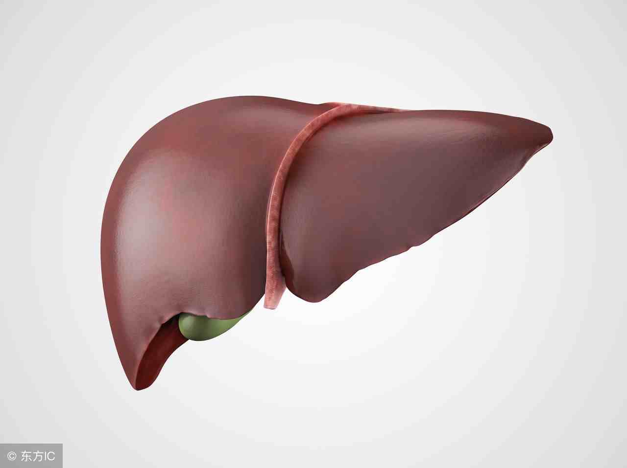 肝功能总胆红素高是怎么回事？肝功能总胆红素高怎么办？