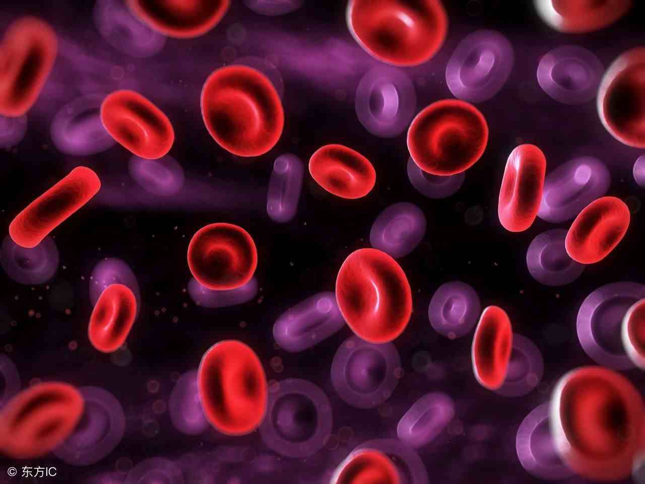 红细胞聚集指数偏高是怎么回事？或与这些病症有关，得警惕了