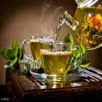绿茶有哪些品种（绿茶的10个品种）