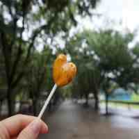 梅雨季节是什么时间（2019年梅雨季节是什么时候）