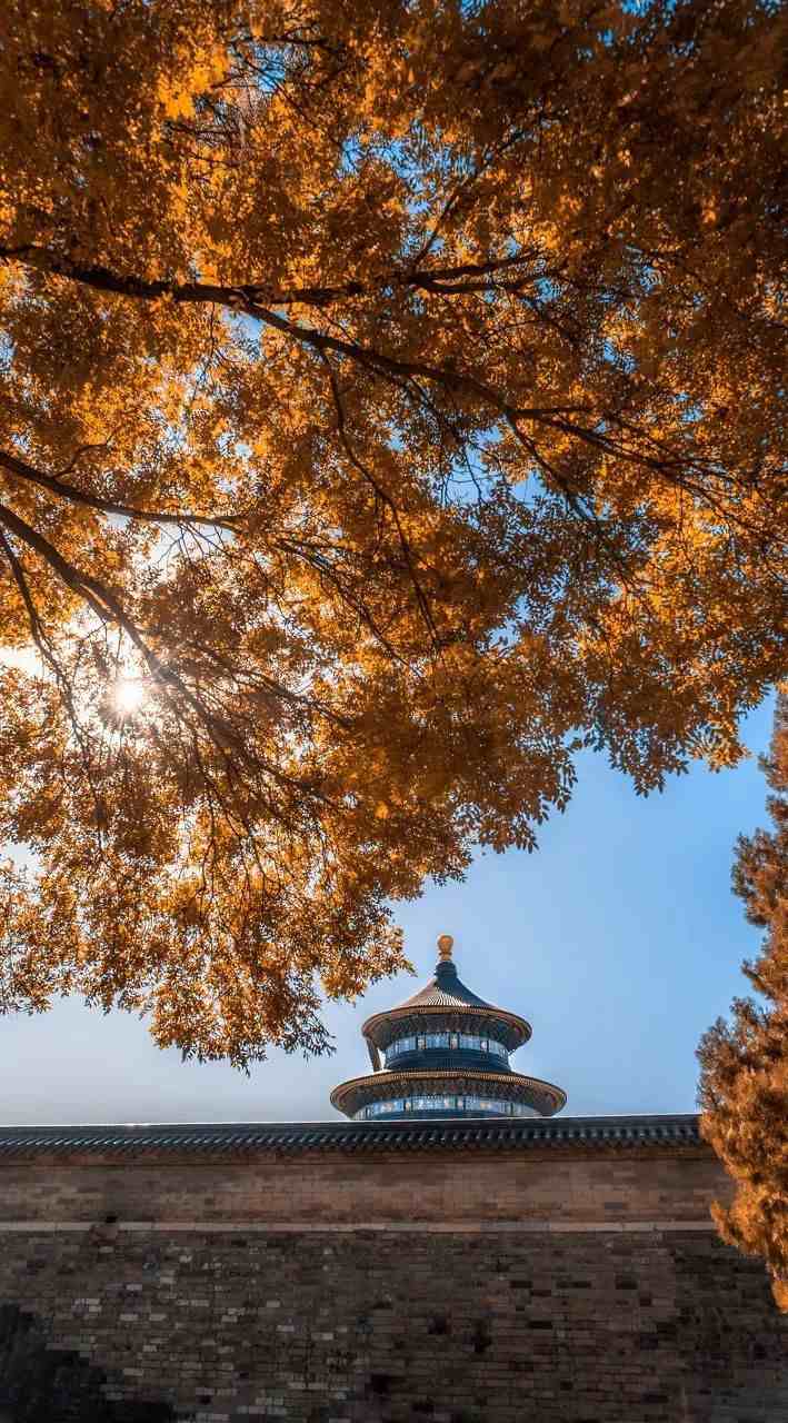北京周边，这8个景点在秋天美成天堂，此时去正当时