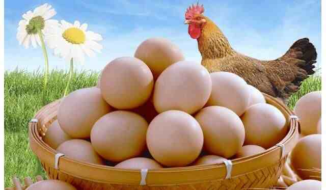 养鸡专家告诉您：这6种鸡蛋不能吃
